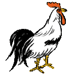 �ڂ���������y�V�s��֍s�����I�I